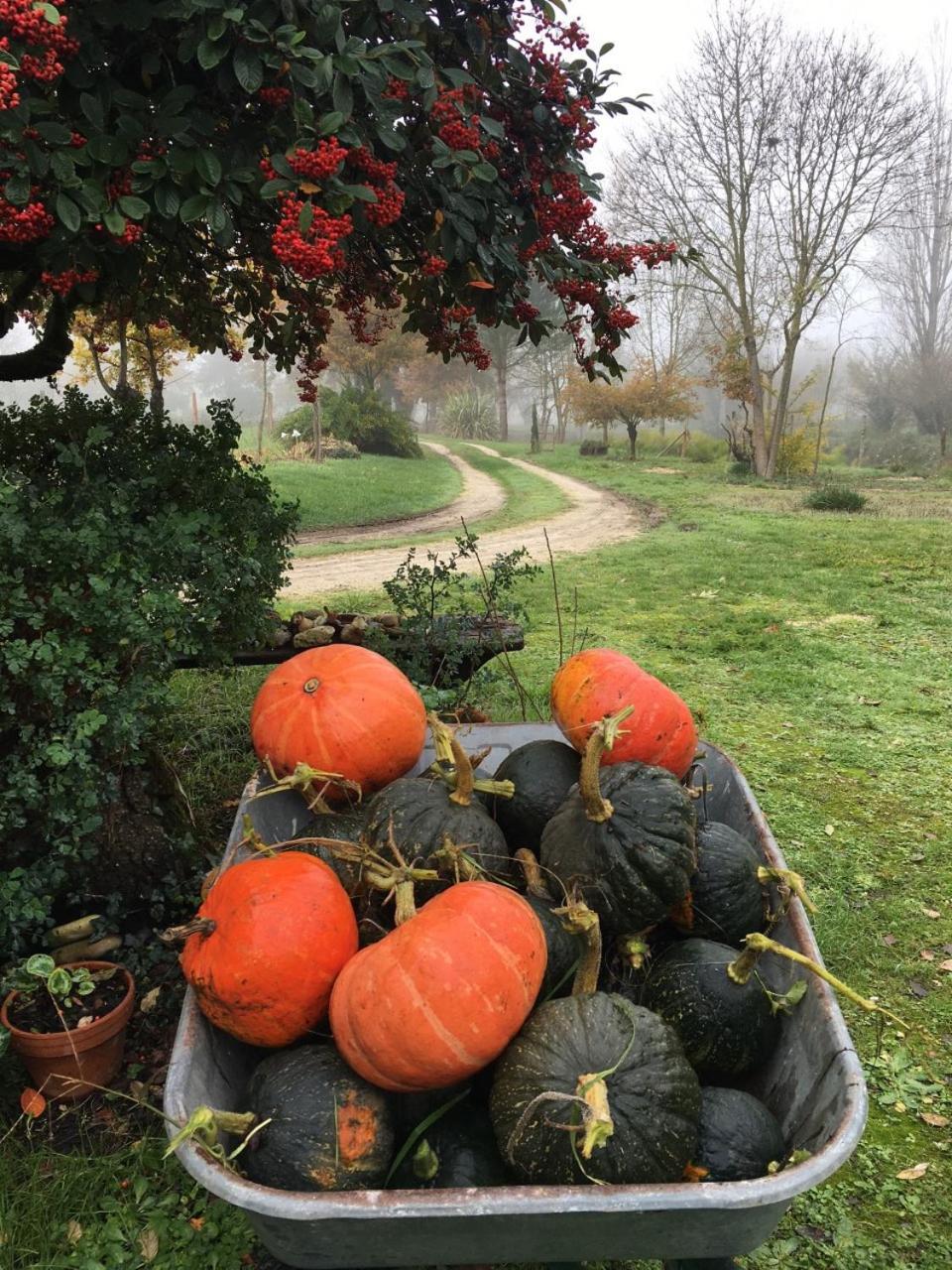 Les Chantours, Domaine De 15 Hectares Arbore Et Fleuri Bed & Breakfast Saint-Antoine-Cumond Exterior photo