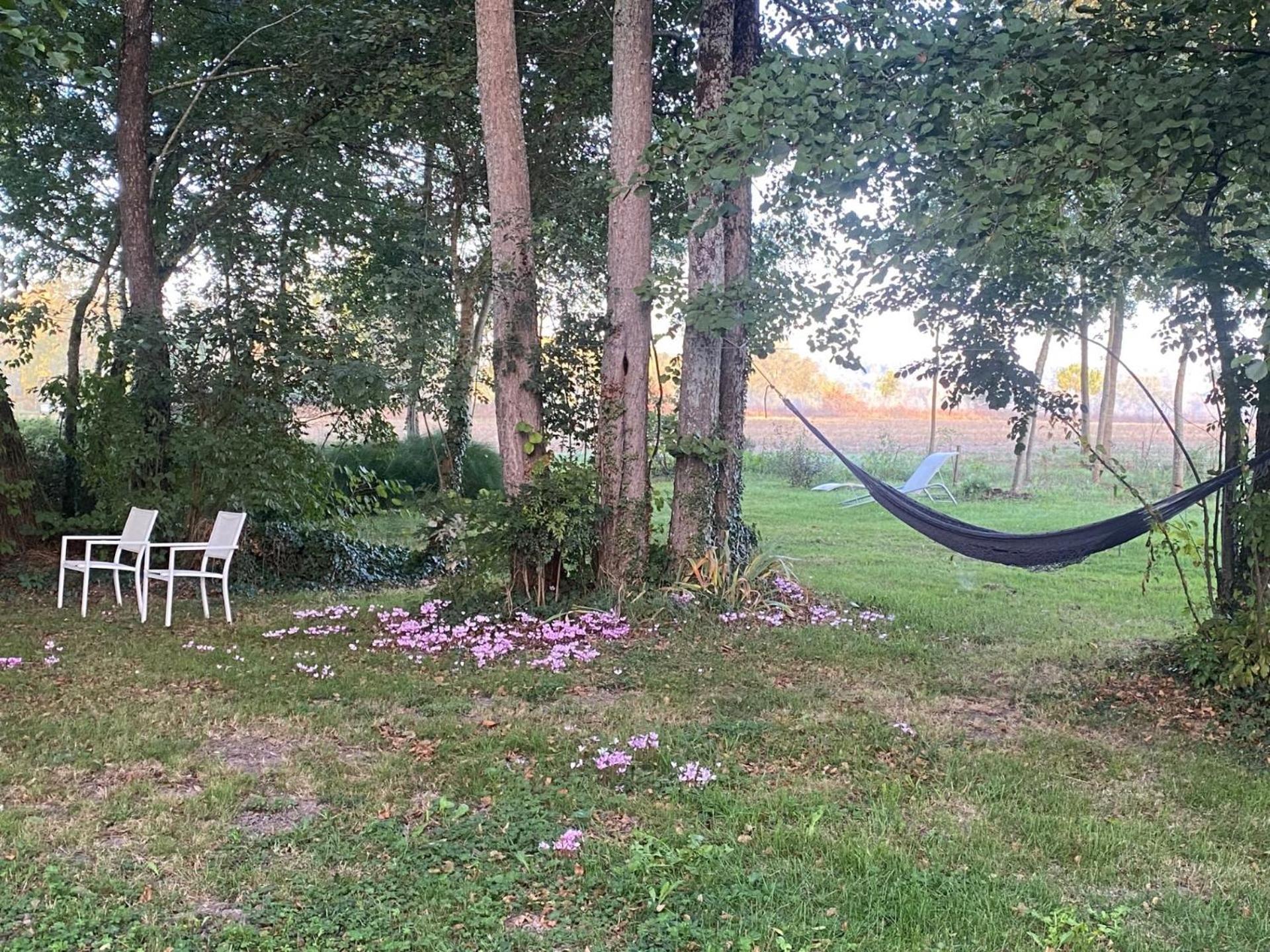 Les Chantours, Domaine De 15 Hectares Arbore Et Fleuri Bed & Breakfast Saint-Antoine-Cumond Exterior photo